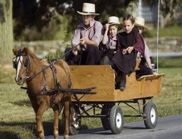 http://i.telegraph.co.uk/multimedia/archive/01298/amish_1298544c.jpg