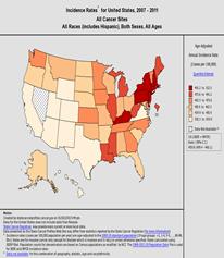 United States map showing age-adjusted incidence rates by state.