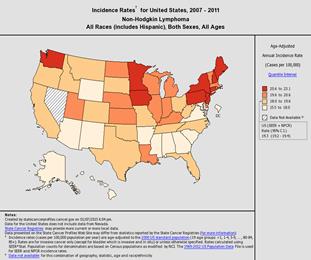 United States map showing age-adjusted incidence rates by state.