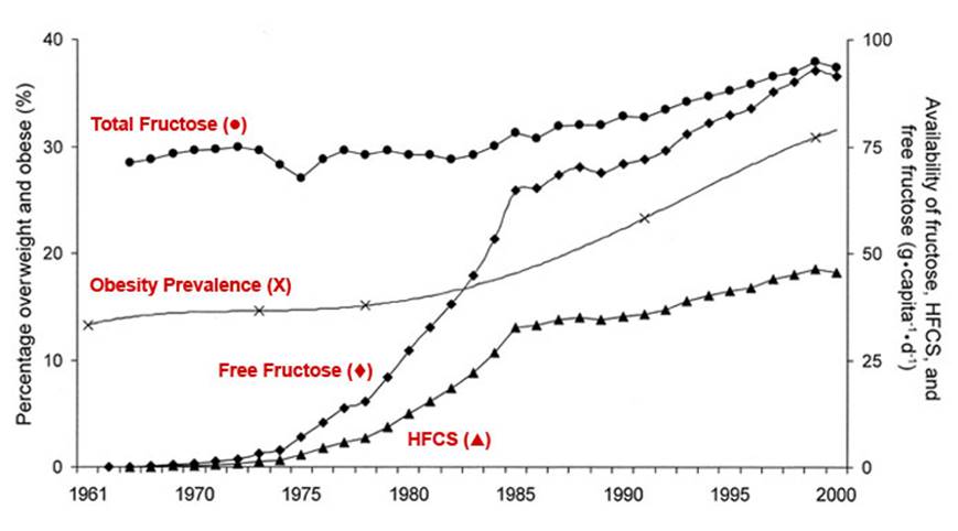 http://www.tomcorsonknowles.com/blog/wp-content/uploads/2012/03/High-Fructose-Corn-Syrup-Obesity-Chart.jpg